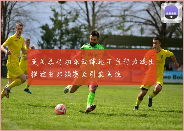 英足总对切尔西球迷不当行为提出指控查尔顿赛后引发关注