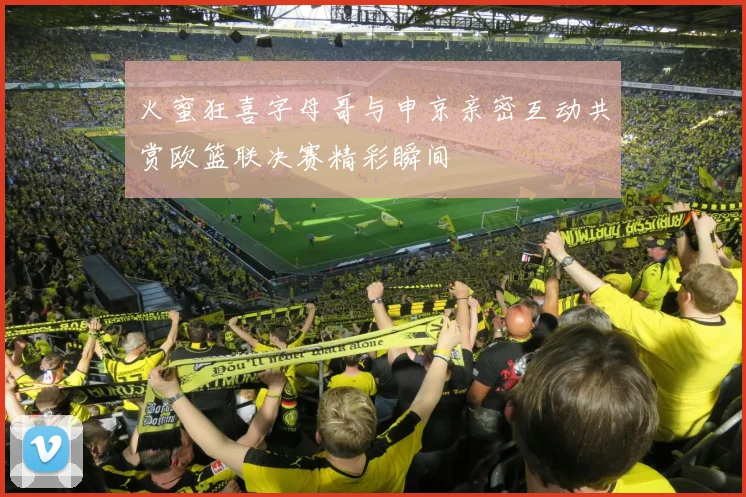 火蜜狂喜字母哥与申京亲密互动共赏欧篮联决赛精彩瞬间